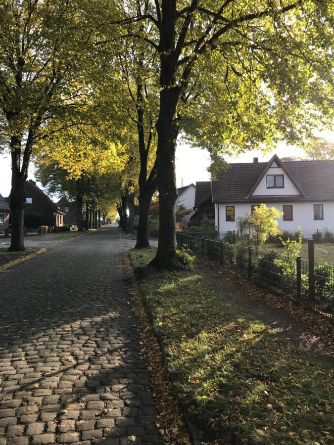 Ferienwohnung Am Holzfeld Schneverdingen Exterior foto
